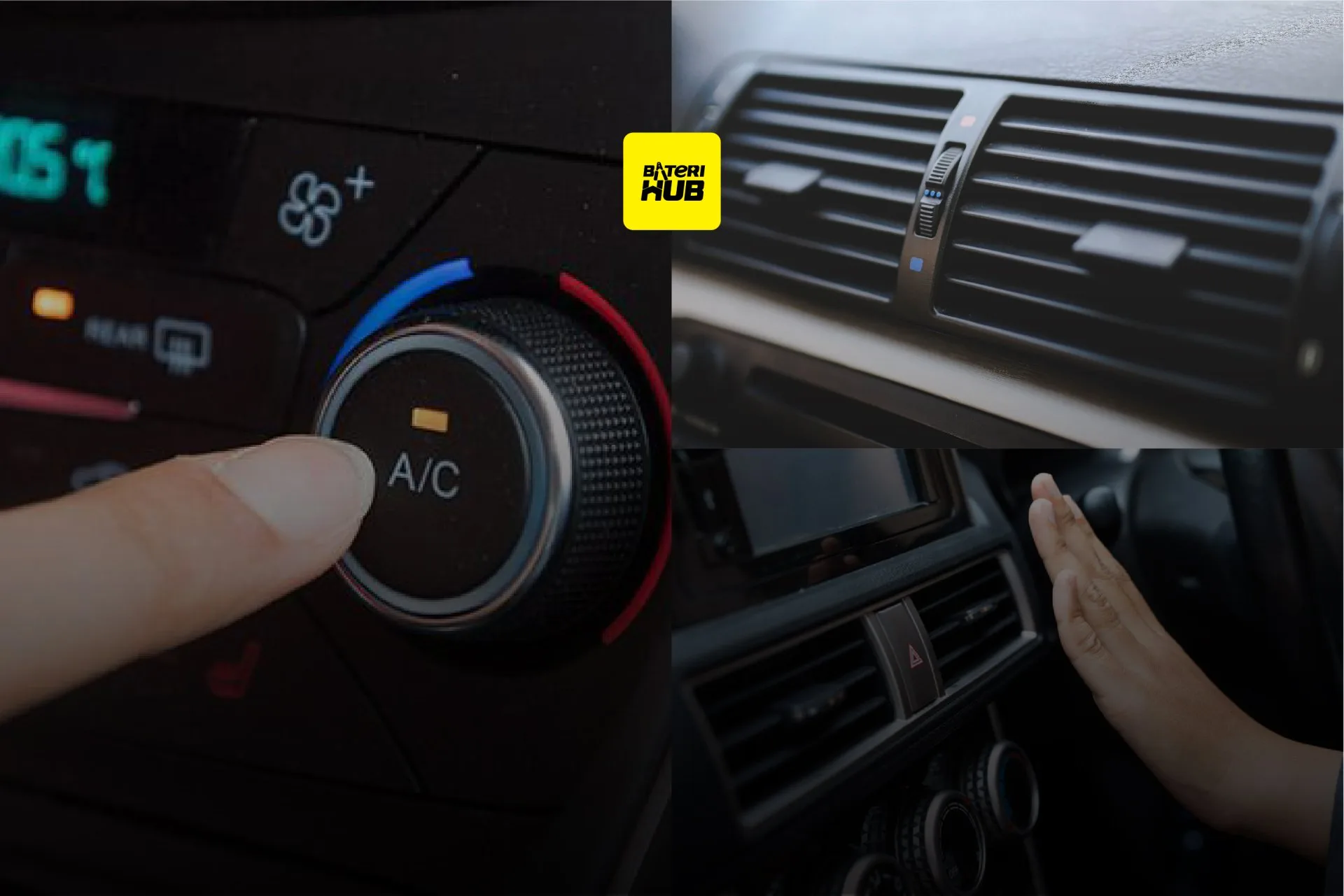 19.5+(size+main+image)-02+(1)