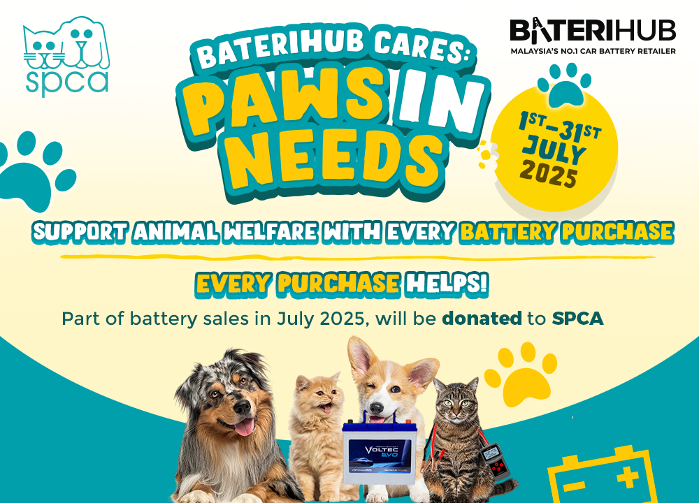 BH_SPCA_CSR_Poster_1000x720px BH_SPCA_CSR_Poster_1000x720px